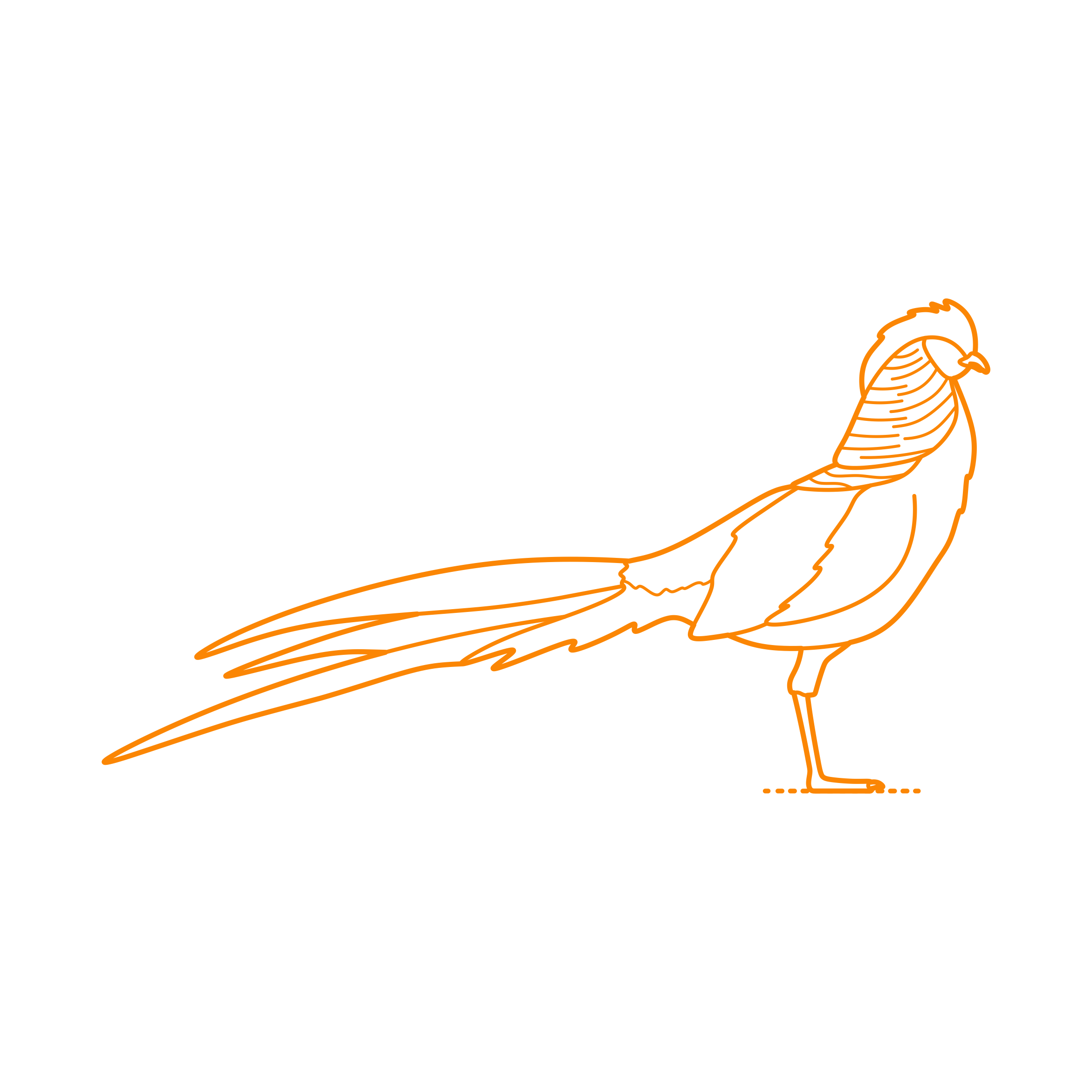 Animals Gamefowl Golden Pheasant Stencil Svg Design File Free Vectors